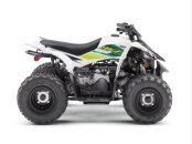 New 2021 Yamaha YFZ50