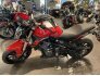 2022 Benelli 302S for sale 201179065