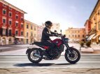 Thumbnail Photo 16 for New 2022 Benelli Leoncino