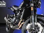 Thumbnail Photo 4 for New 2022 Benelli Leoncino