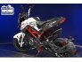 2022 Benelli TNT 135 for sale 201287211