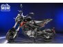 2022 Benelli TNT 135 for sale 201287217