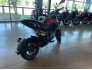 2022 Benelli TNT 135 for sale 201294157