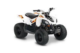 2022 Can-Am DS 250 90 specifications
