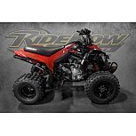 2022 Can-Am DS 250 for sale 201283393