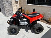 2022 Can-Am DS 250 for sale 201325890