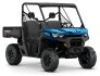 2022 Can-Am Defender DPS HD10 for sale 201208226
