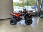Thumbnail Photo 0 for New 2022 Can-Am DS 250