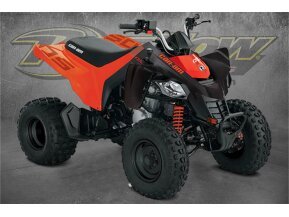 2022 Can-Am DS 250 for sale 201238758