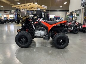 2022 Can-Am DS 250 for sale 201267589