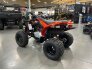 2022 Can-Am DS 250 for sale 201267589