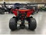2022 Can-Am DS 250 for sale 201267590