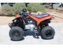 2022 Can-Am DS 250 for sale 201271894