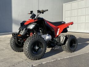 2022 Can-Am DS 250 for sale 201276355