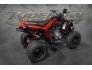 2022 Can-Am DS 250 for sale 201283388