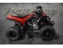 2022 Can-Am DS 250 for sale 201290650