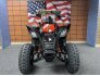2022 Can-Am DS 250 for sale 201310837