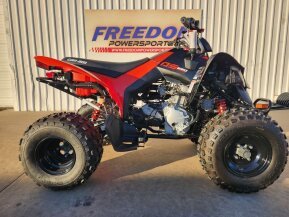 2022 Can-Am DS 250 for sale 201357151