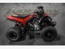2022 Can-Am DS 250 for sale 201386457