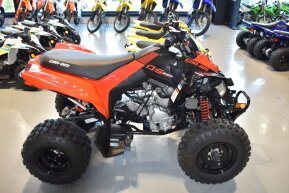 2022 Can-Am DS 250 for sale 201581826