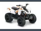 Thumbnail Photo 1 for New 2022 Can-Am DS 70