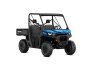 2022 Can-Am Defender DPS HD10 for sale 201285996
