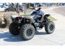 2022 Can-Am Renegade 570 for sale 201272850
