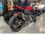 2022 Ducati Monster 937 for sale 201369004