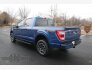 2022 Ford F150 for sale 101845023