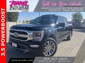 2022 Ford F150 for sale 101941404
