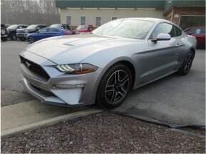 2022 Ford Mustang for sale 101968903