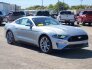 2022 Ford Mustang for sale 101798605