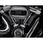 2022 Harley-Davidson Softail for sale 201251419