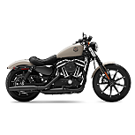 2022 Harley-Davidson Sportster Iron 883 for sale 201224413
