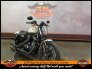 2022 Harley-Davidson Sportster Iron 883 for sale 201224818