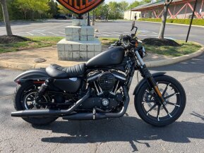 2022 Harley-Davidson Sportster Iron 883 for sale 201271997