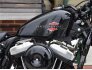 2022 Harley-Davidson Sportster Forty-Eight for sale 201277431