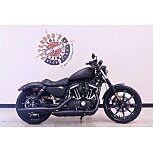 2022 Harley-Davidson Sportster Iron 883 for sale 201342149
