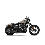2022 Harley-Davidson Sportster Iron 883 for sale 201342735