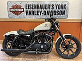 2022 Harley-Davidson Sportster Iron 883 for sale 201601583