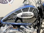 Thumbnail Photo 14 for New 2022 Harley-Davidson Softail