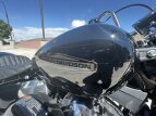 Thumbnail Photo 33 for New 2022 Harley-Davidson Softail Standard