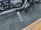 Thumbnail Photo 3 for 2022 Harley-Davidson Softail Low Rider S
