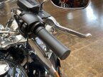 Thumbnail Photo 2 for 2022 Harley-Davidson Softail