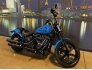 2022 Harley-Davidson Softail Street Bob 114 for sale 201299768