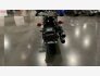 2022 Harley-Davidson Softail Standard for sale 201381423