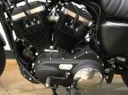 Thumbnail Photo 10 for New 2022 Harley-Davidson Sportster Iron 883