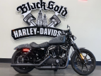 Thumbnail Photo 0 for 2022 Harley-Davidson Sportster Iron 883
