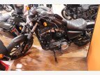 Thumbnail Photo 2 for 2022 Harley-Davidson Sportster Iron 883
