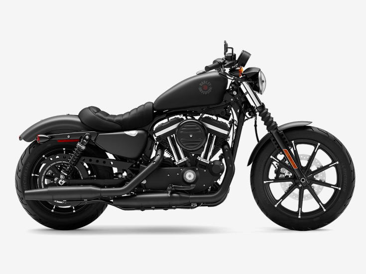 Thumbnail Photo undefined for 2022 Harley-Davidson Sportster Iron 883